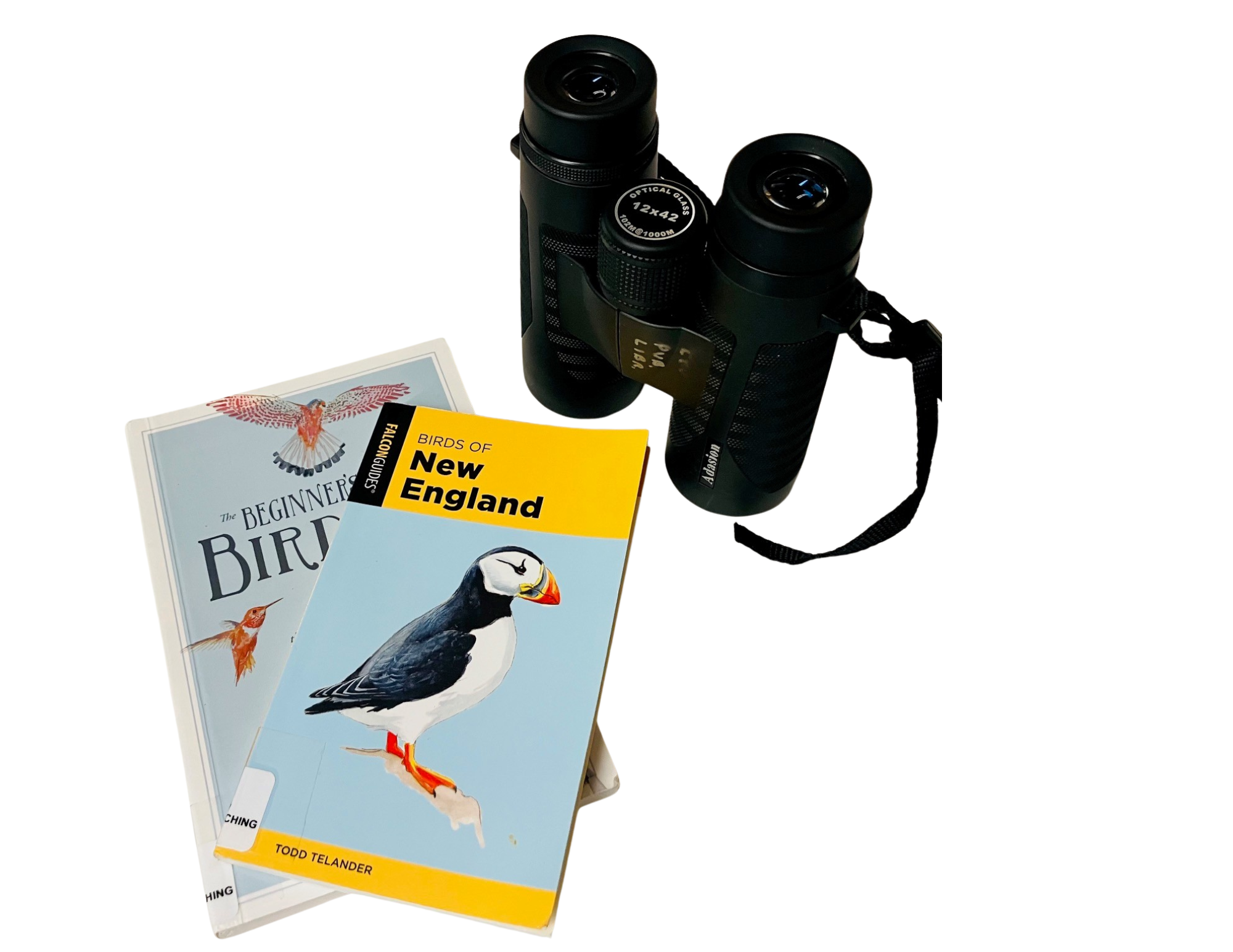 Bird watching kit available from the Coventry Public Library's library of things
