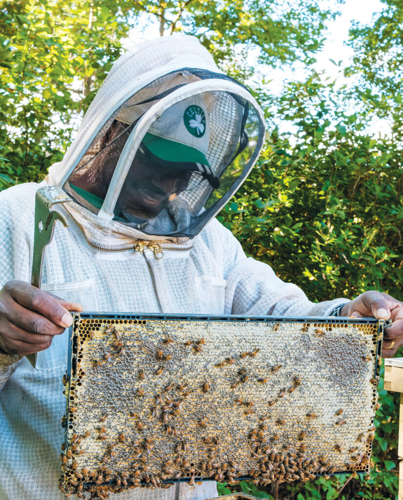 Calvin Alexander, courtesy of 'Edible Rhody' article 'The Honey Super' by Ezra Pollard | EzraPollard.com