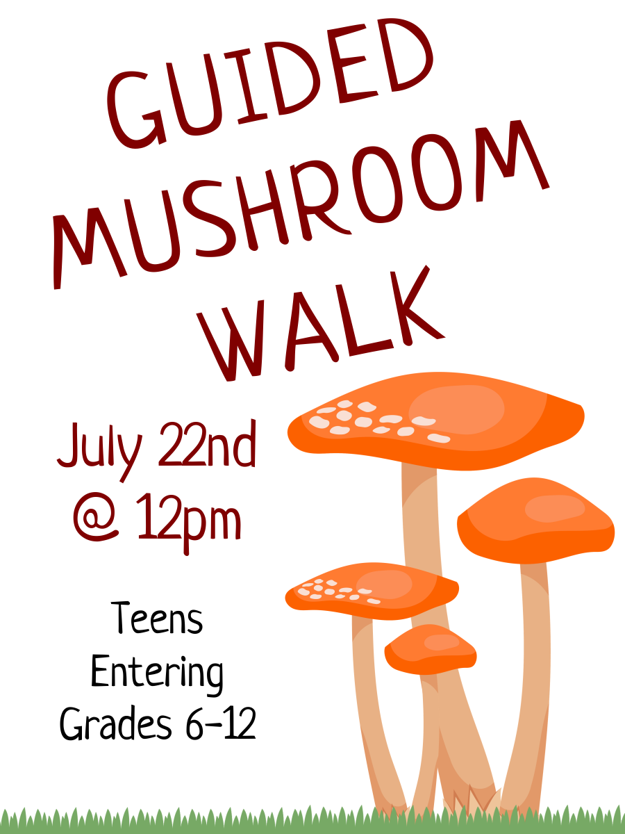 guided mushroom walk 