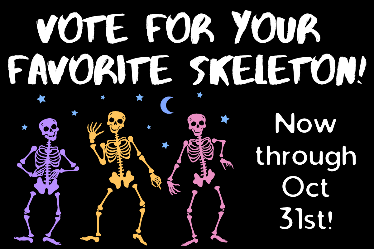 vote for your favorite skeleton colorful skeletons dancing now through october 31st