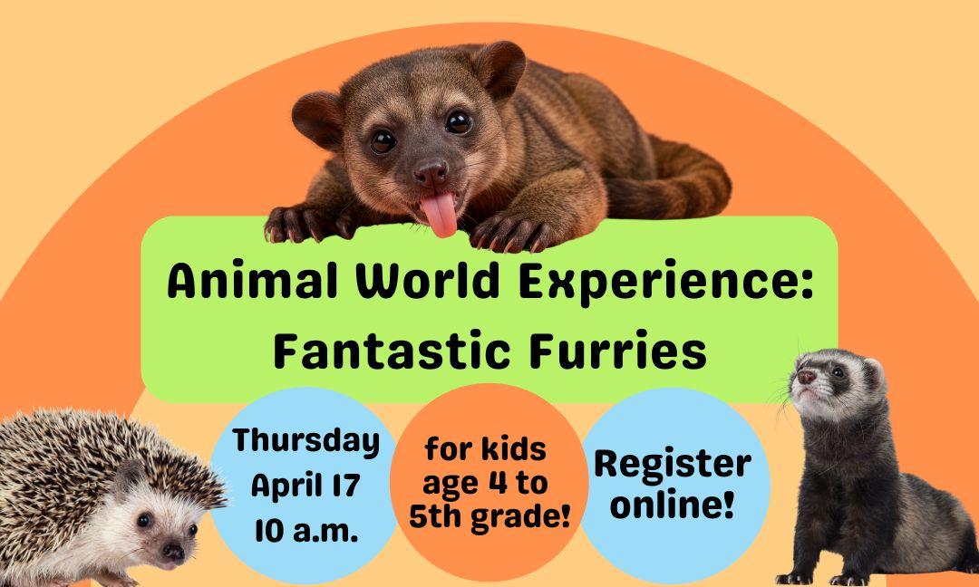 Animals for Fantastic Furries