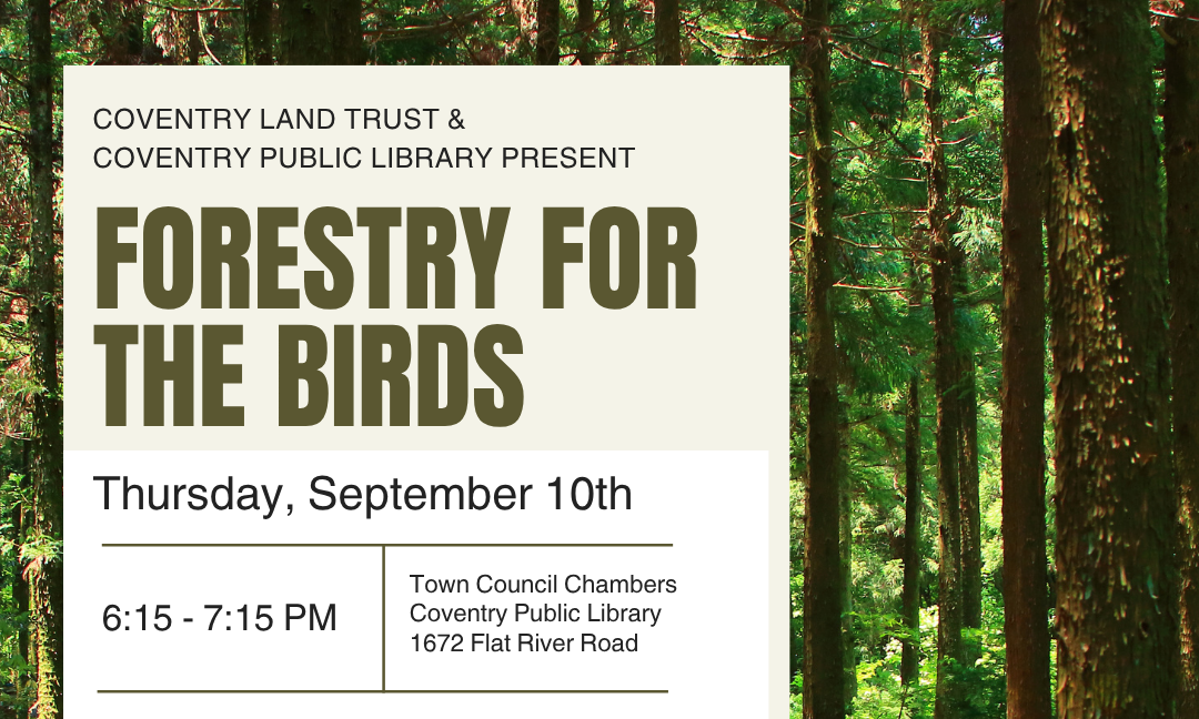 Forestry for the Birds at the Coventry Public Library